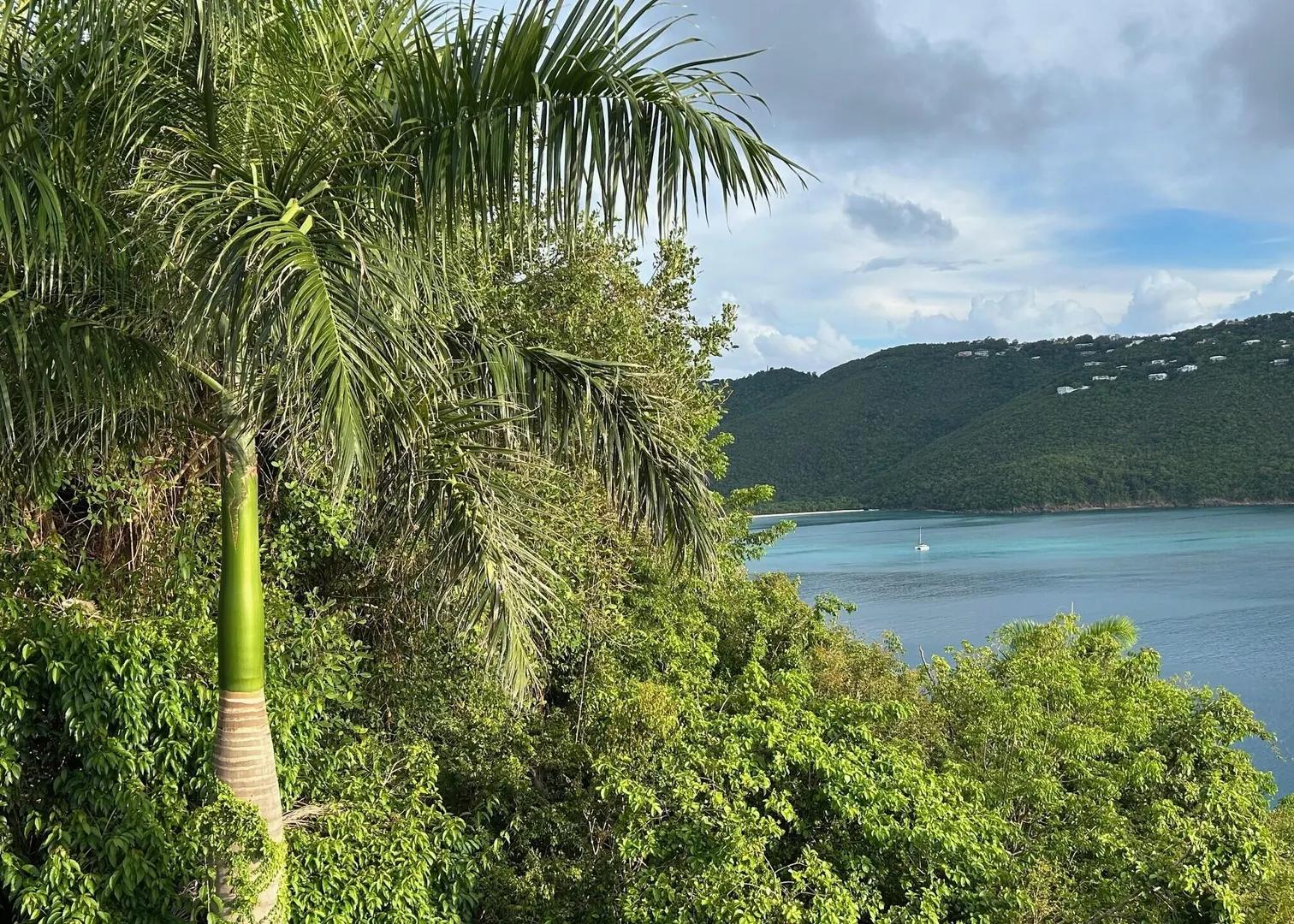 3 Bedroom Under Construction Villa with Bay and Ocean Views in Peterborg, St. Thomas — photo 5