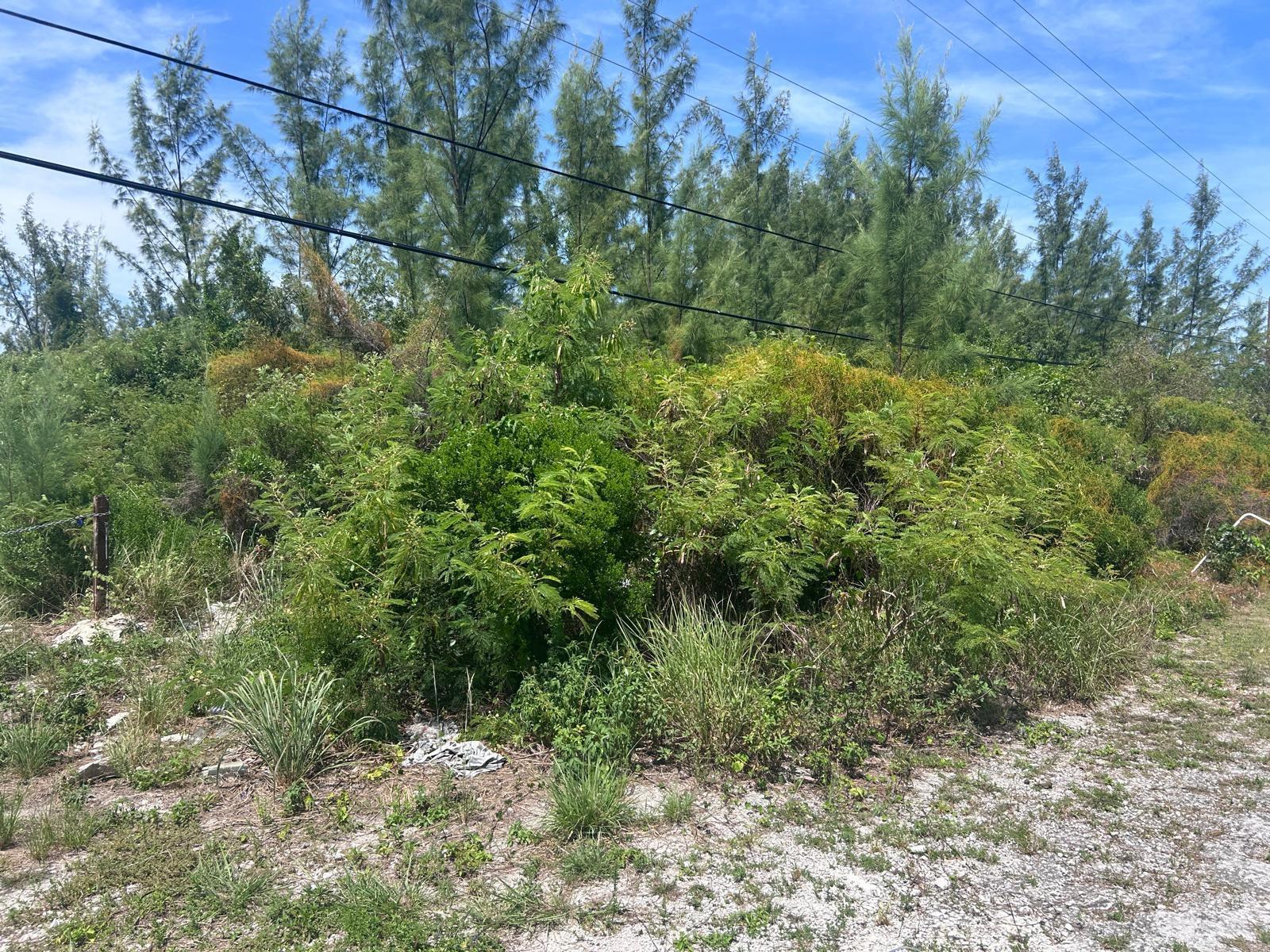 1/2 Acre Multi Family Lot in Nassau — photo 3