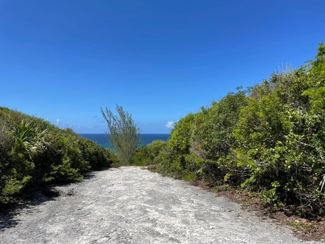 HOLIDAY BEACH — photo 3