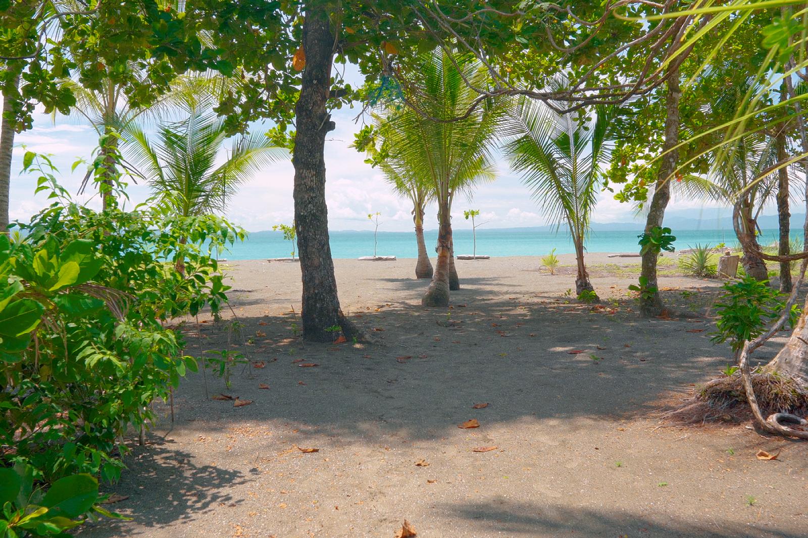 7 Bedroom Beachfront Home for Sale, Golfito, Puntarenas, Costa Rica — photo 4