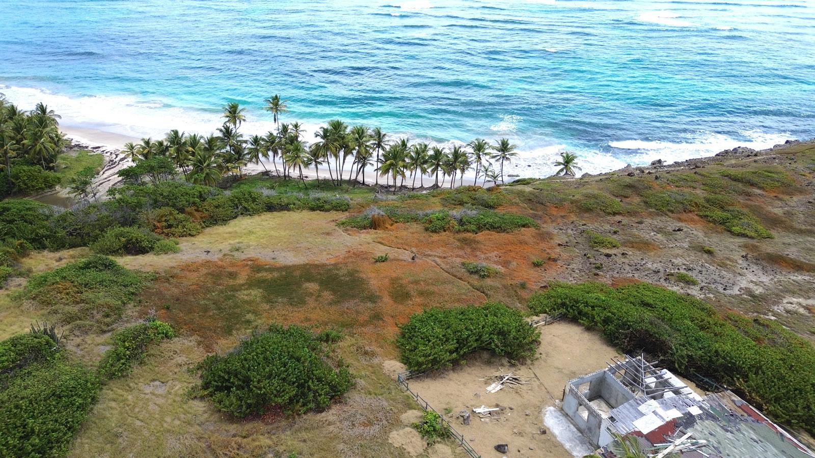 28.5 Acres of Beachfront Land for Sale, Canelles, Micoud, St Lucia — photo 4