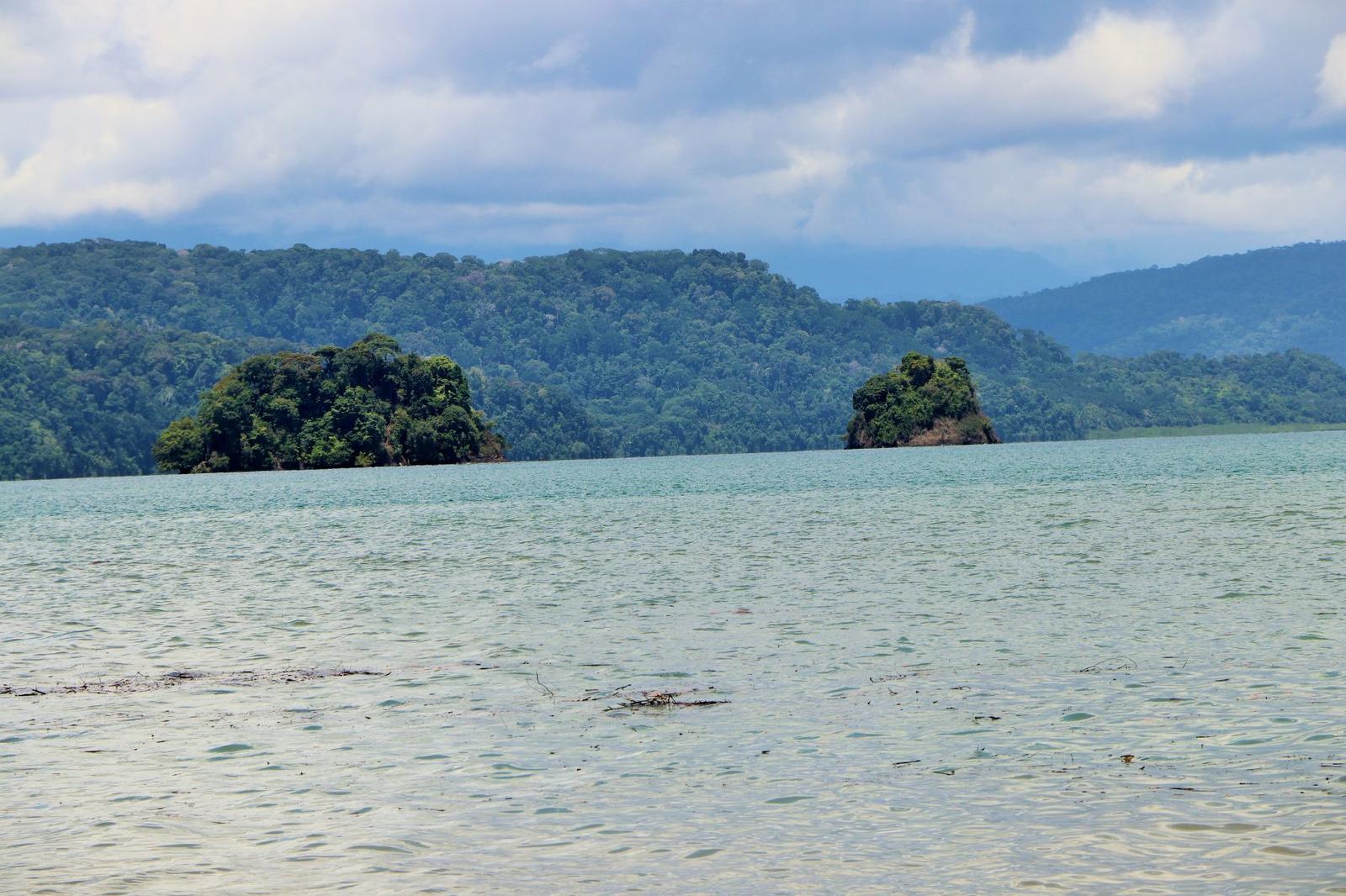 68 Hectares of Agricultural Land for Sale, Piedras Blancas National Park, Ojochal, Puntarenas — photo 1