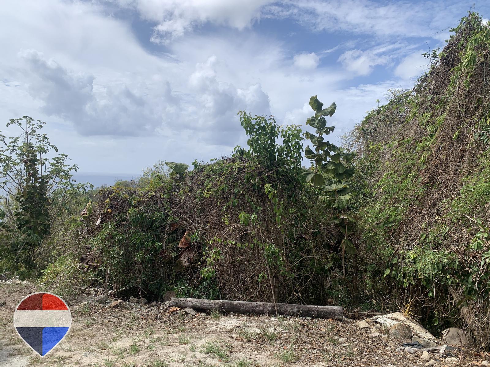 Cliffside Coastal Lots with Stunning Sea Views in Anse La Raye — photo 1