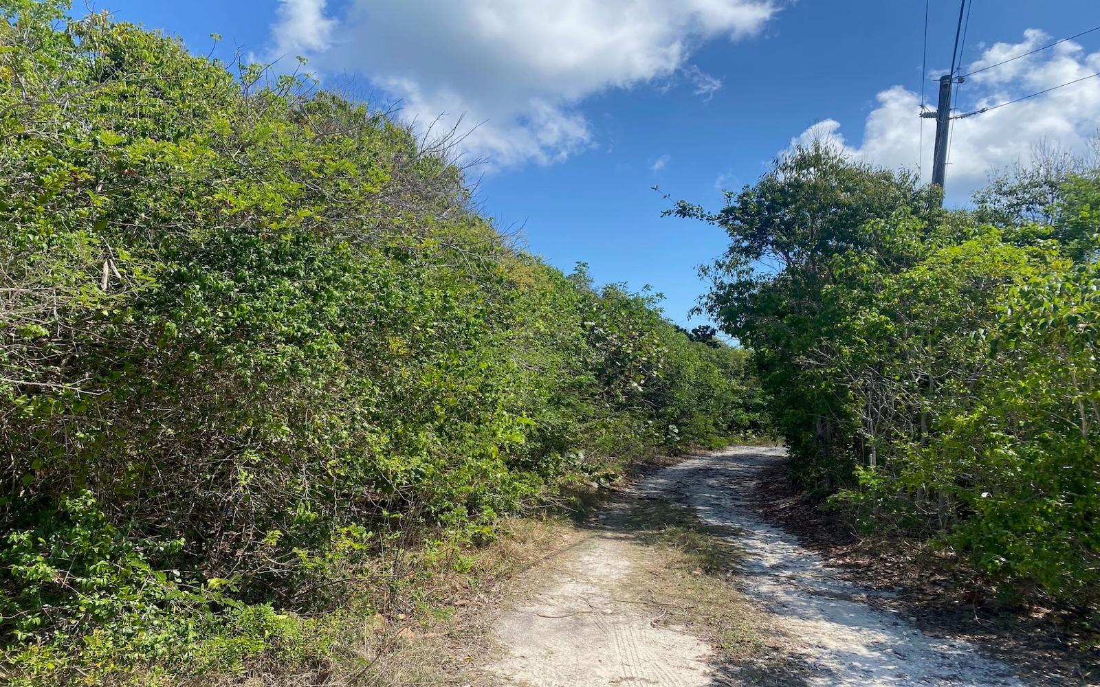 Hilltop Lot 28 - Mls 67357, Gregory Town, Bahamas — photo 5