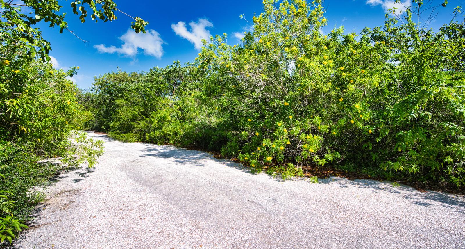 Leasehold - Lovely larger lot, Cayman Brac East — photo 1