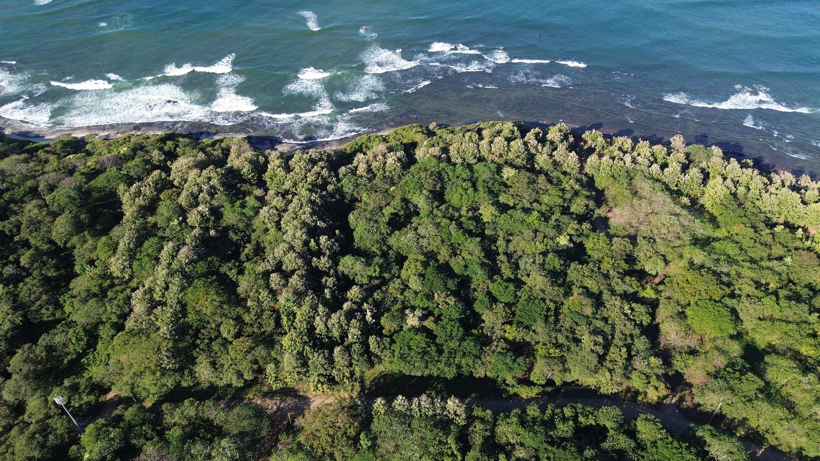 3,834 Sq M Oceanfront Land for Sale, Lagartillo, Playa Avellanas, Tamarindo, Guanacaste — photo 4