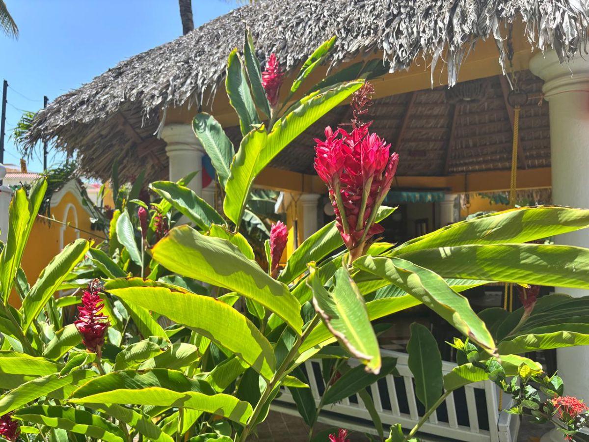 Rare Multi-Unit Investment in El Cortecito — photo 4