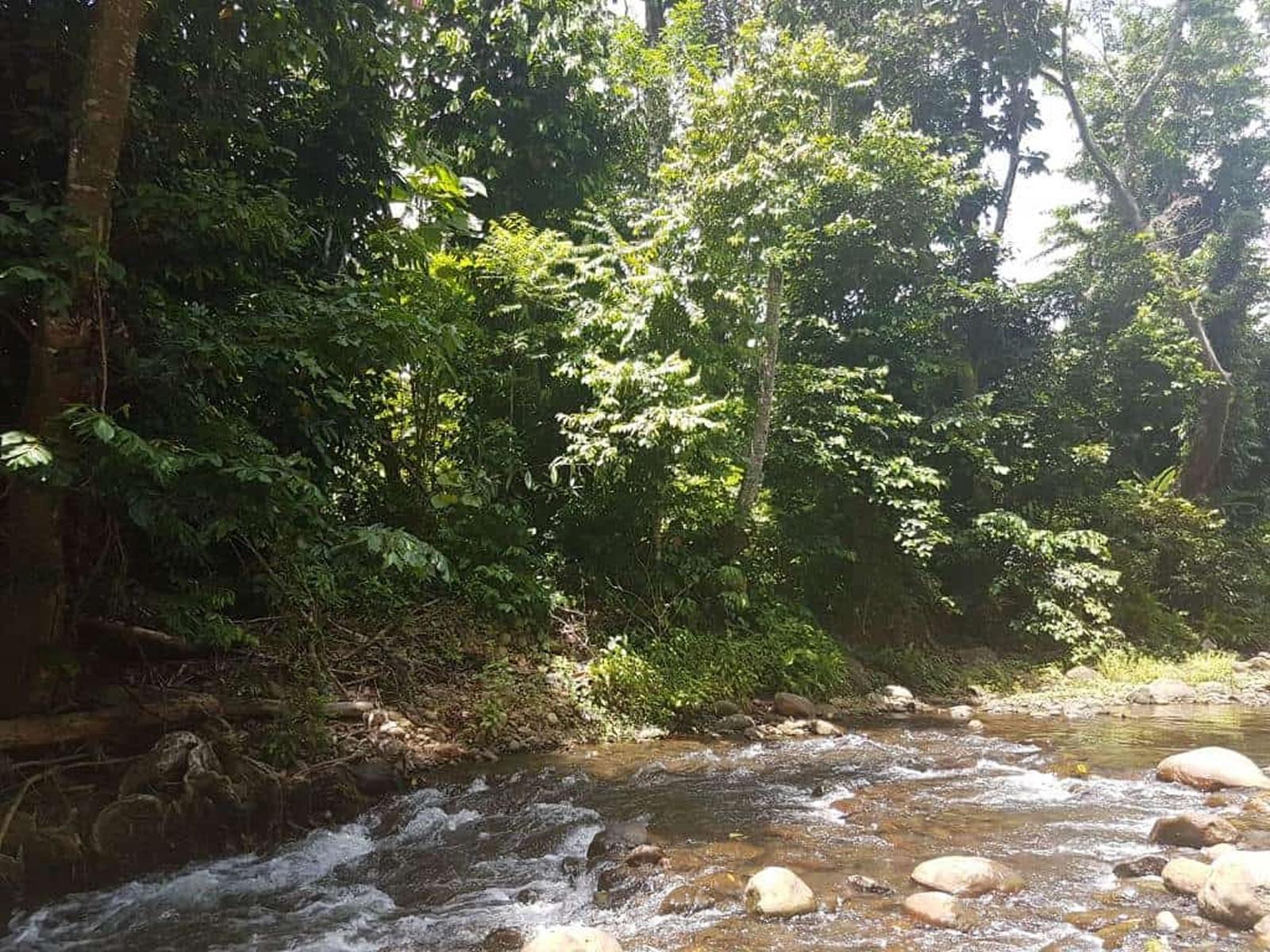 10 Acres of Land for Sale, Calibishie, Dominica — photo 2