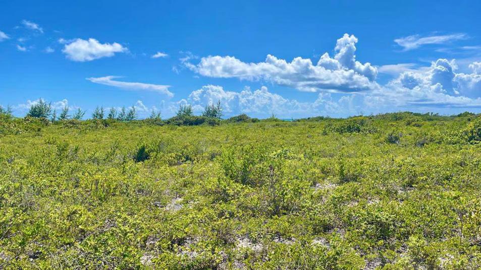 150 Anegada 0.517 Acres — photo 1