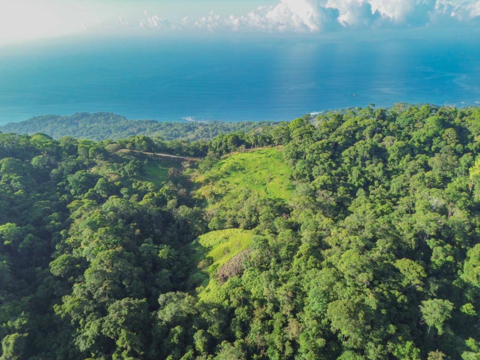 55 Acres of Ocean-View Land for Sale, Escaleras, Dominical, Puntarenas, Costa Rica — photo 1