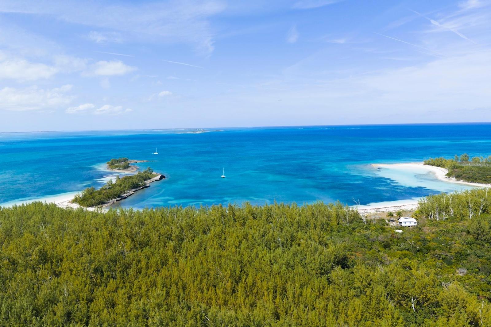 MUNJACK CAY — photo 5