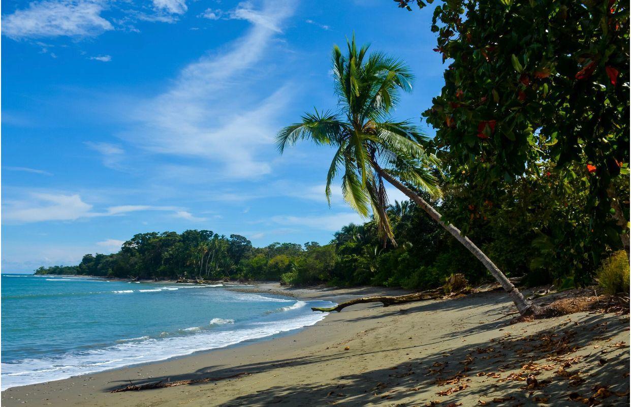 18 Bedroom Beachfront Estate for Sale, Cabo Matapalo, Costa Rica — photo 4