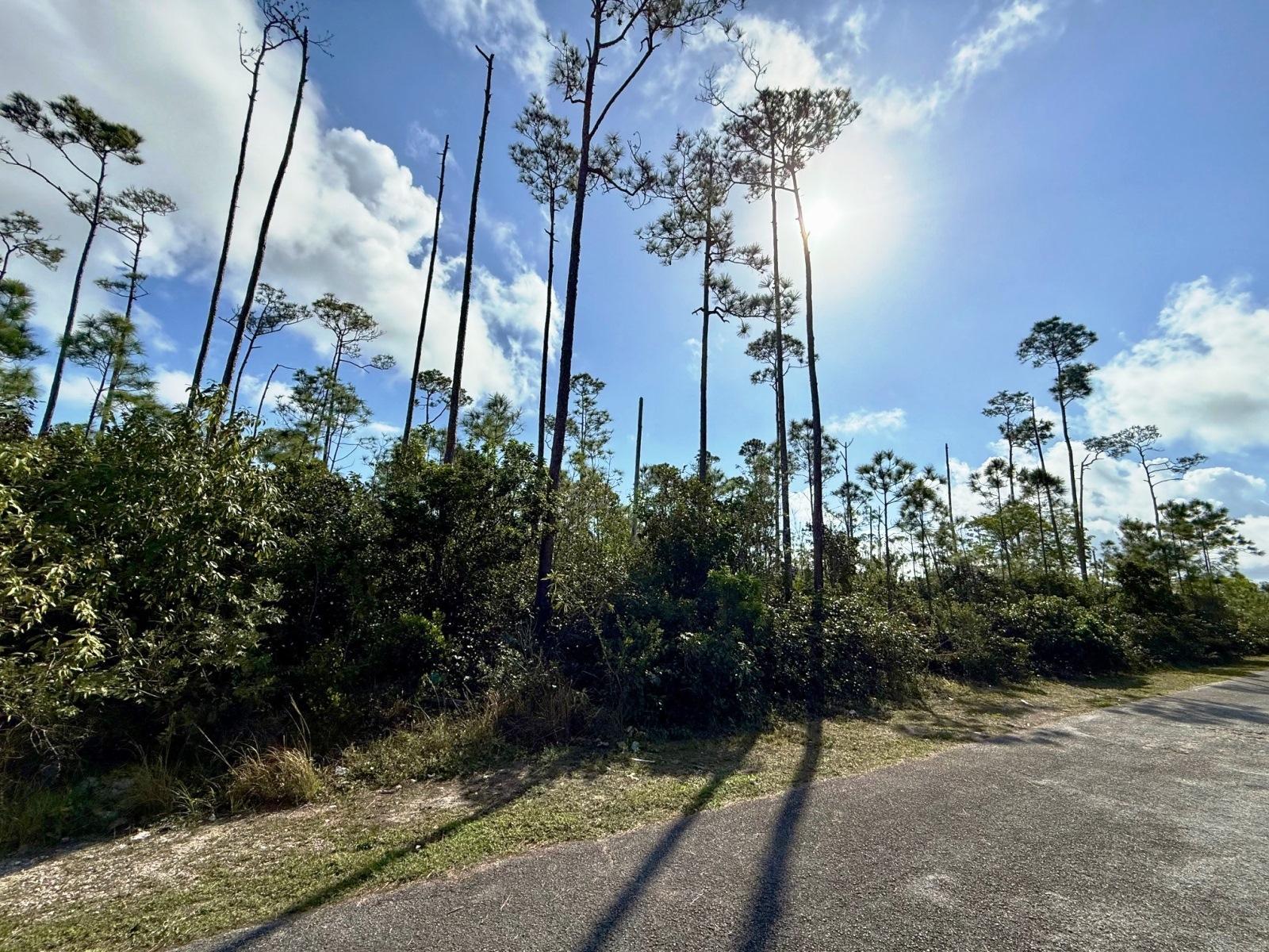 BAHAMIA NORTH LOT 7 — photo 4