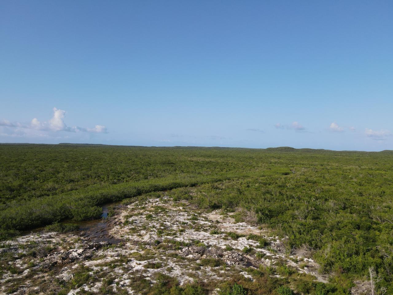 120 Acres Doctor's Creek — photo 1