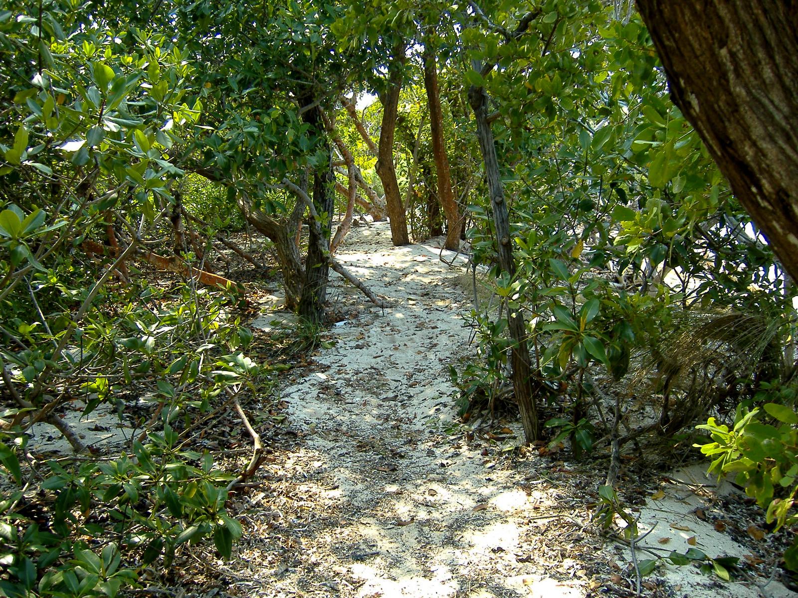 Private beach on private island — photo 2