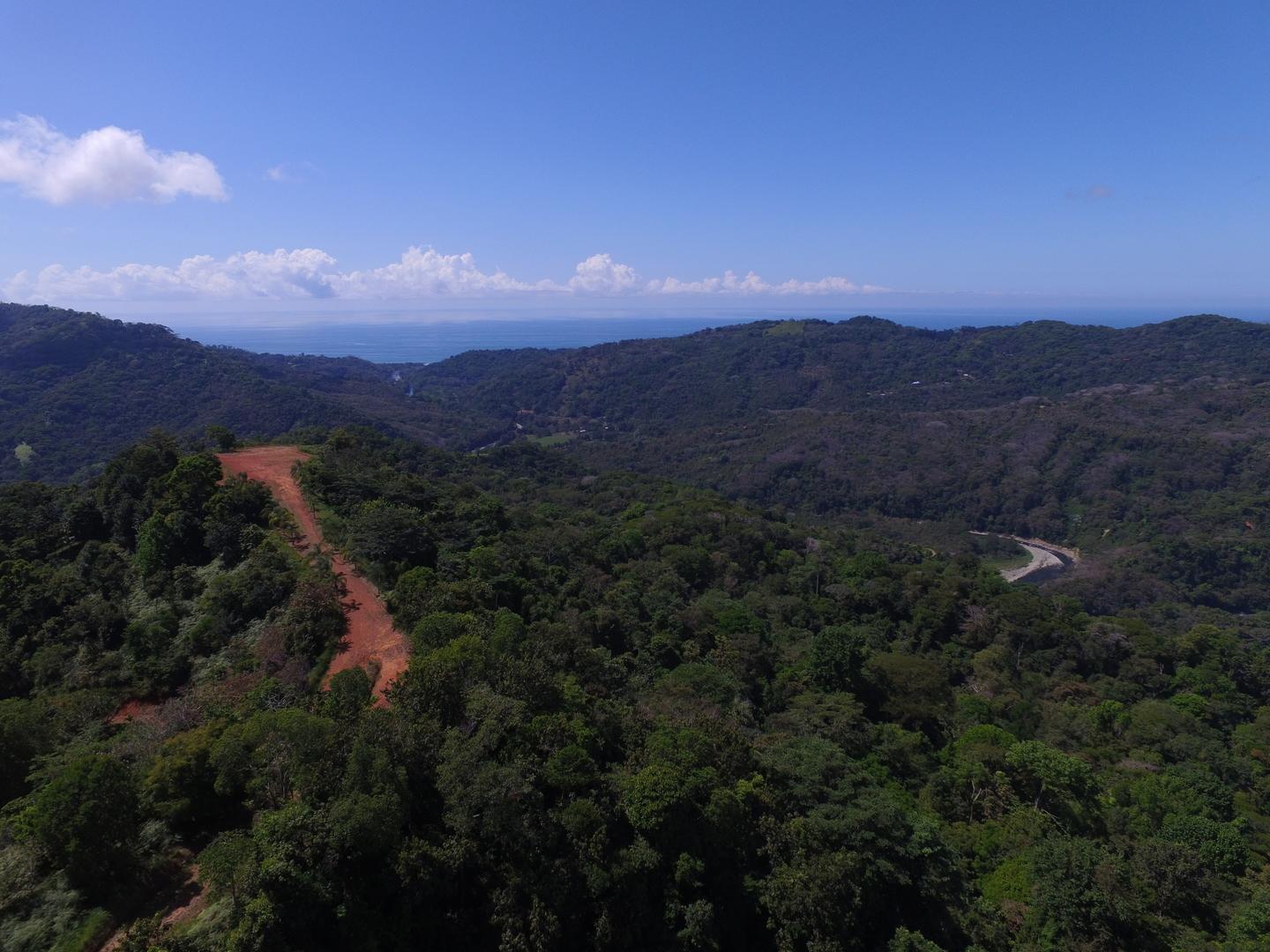 30 Acres of Farm Land for Sale, Platanillo, Puntarenas, Costa Rica — photo 4