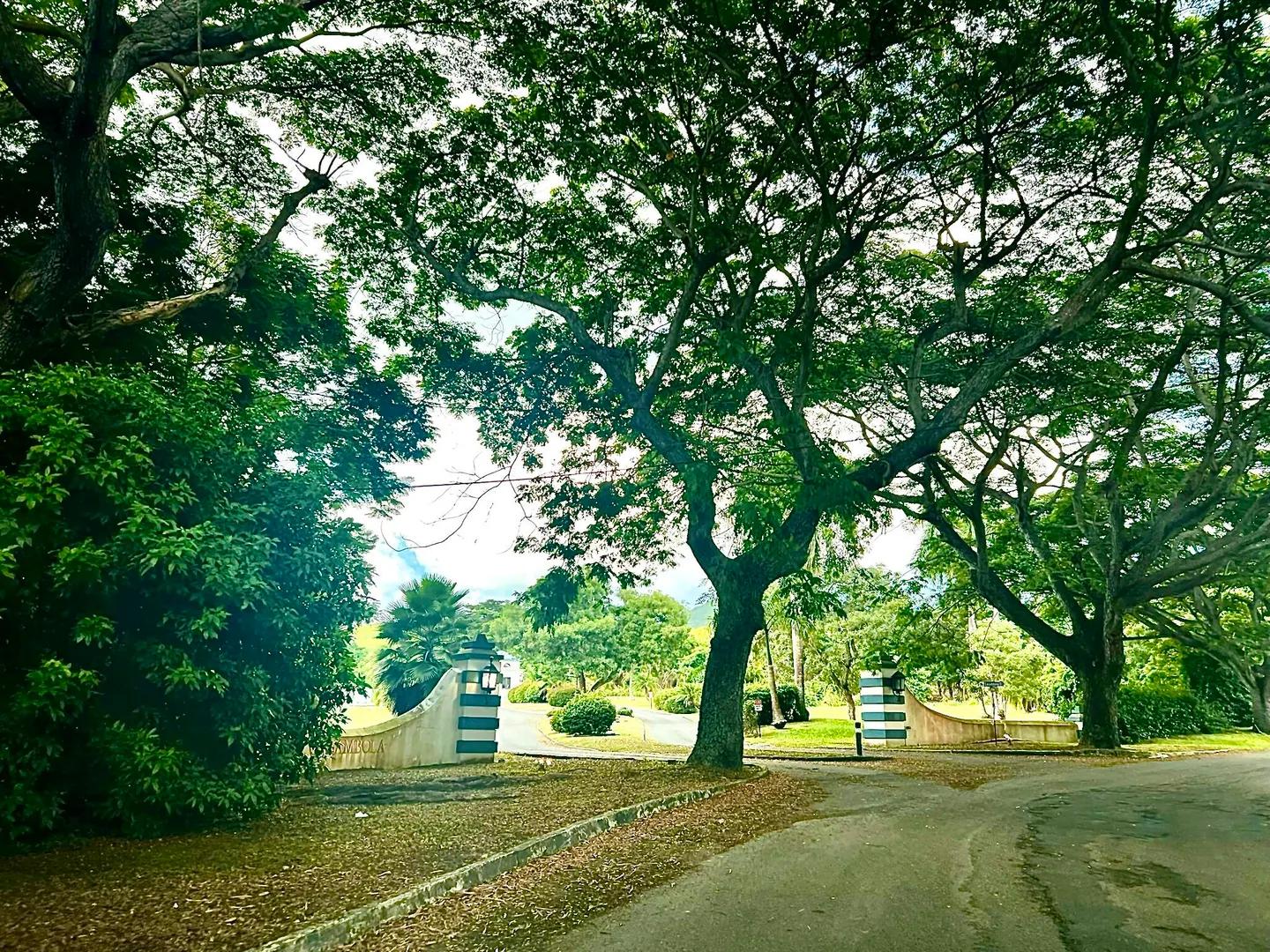 0.66 Acre Homesite in Carambola Golf Course — photo 1