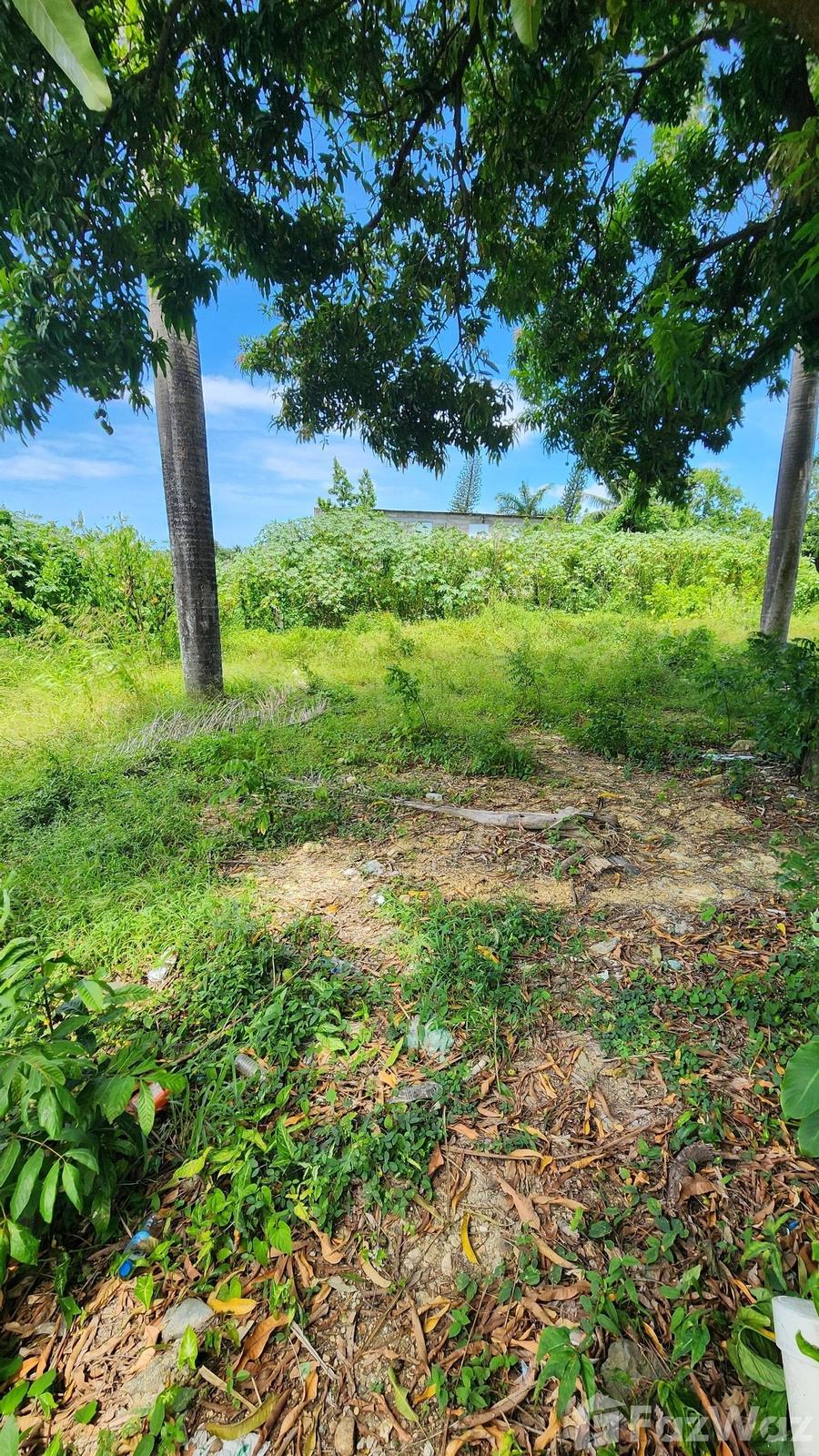 INVESTMENT OPPORTUNITY IN PUERTO PLATA — photo 5