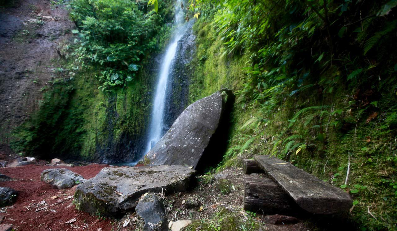 26 Hectares of Agricultural Land for Sale in Sarapiquí, Alajuela, Costa Rica — photo 2