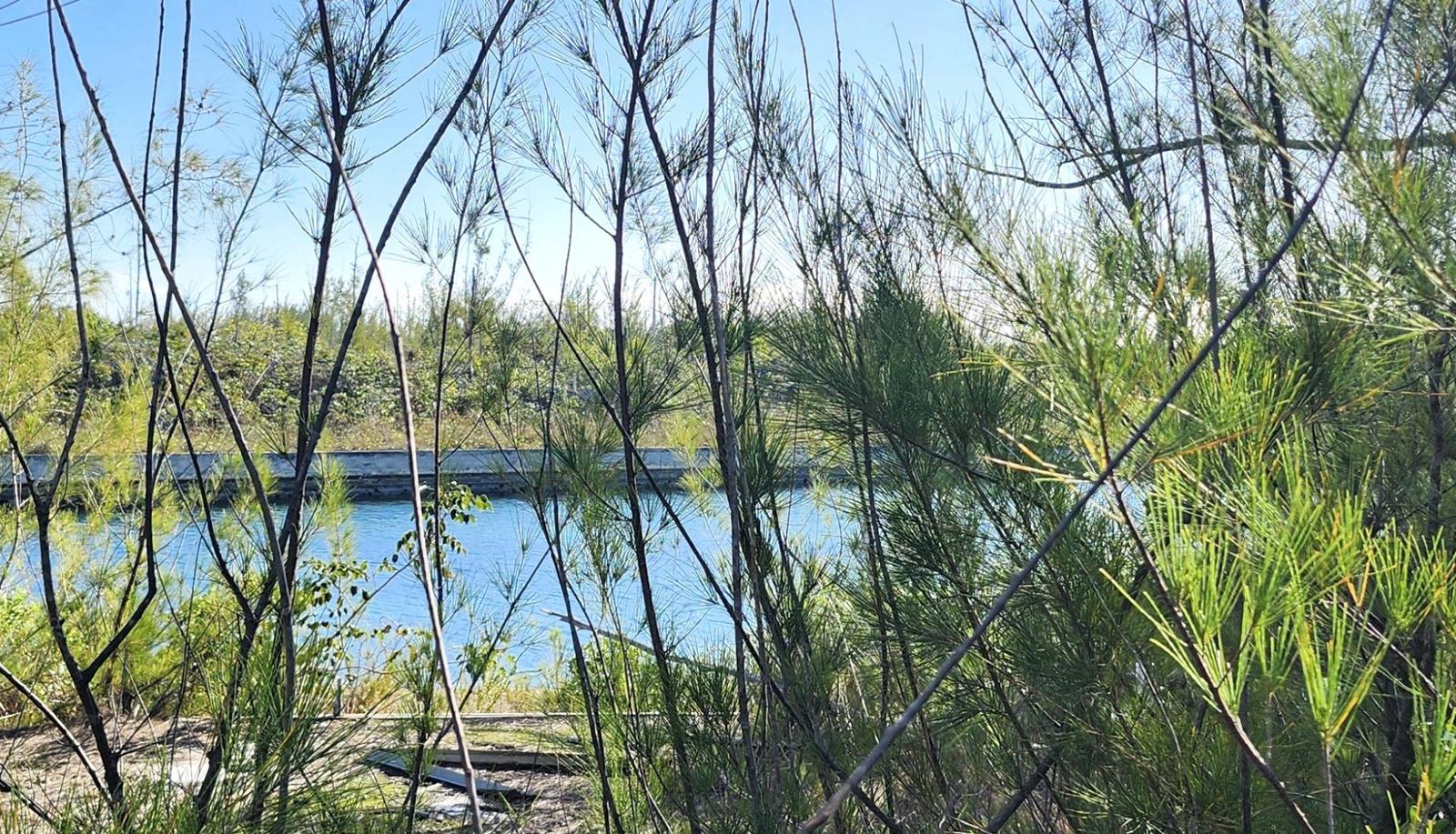 DERBY CANAL LOT 6 — photo 5