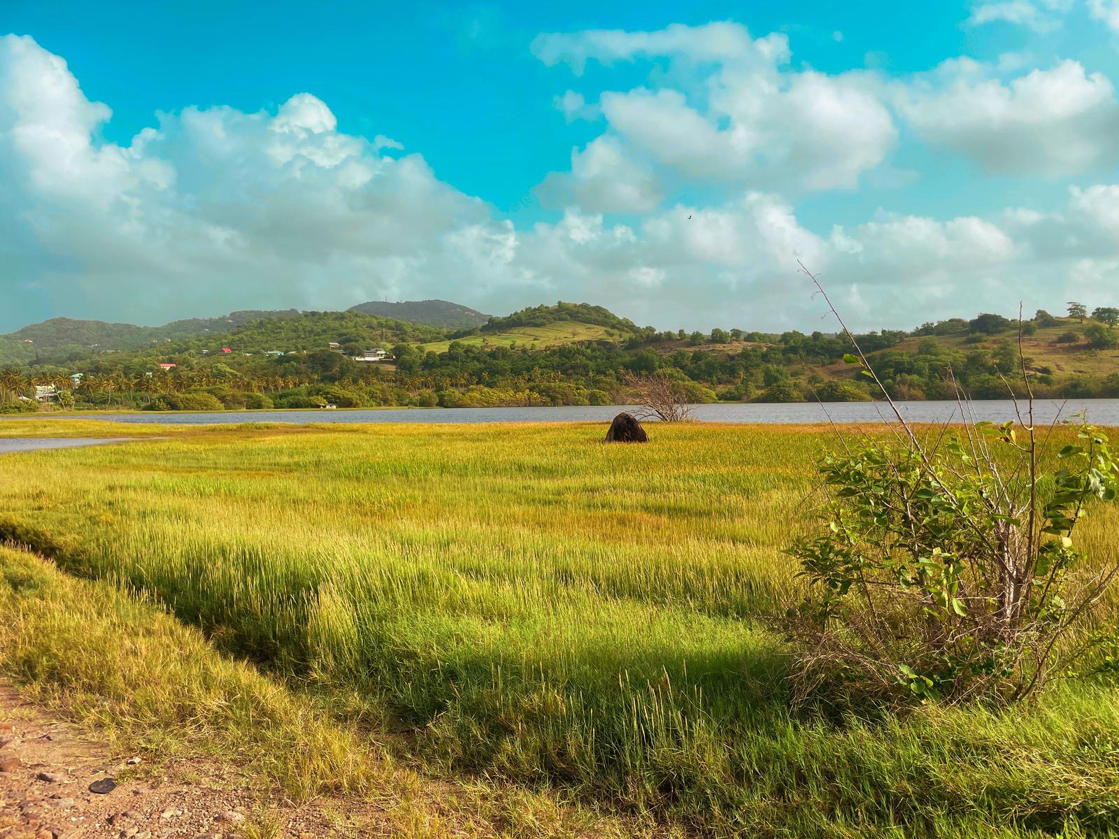 Rare Oceanfront Development Opportunity with Natural Pond – Savannes Bay, Micoud, Saint Lucia — photo 4