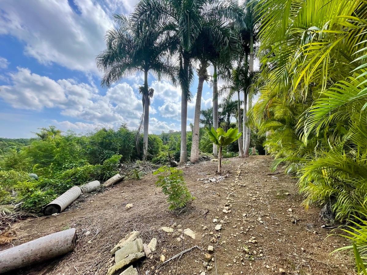 Exceptional Ocean View Land for Sale – Sosúa, Dominican Republic — photo 3