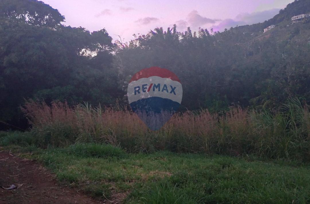 REVIERE DOUBLE LOT — photo 5