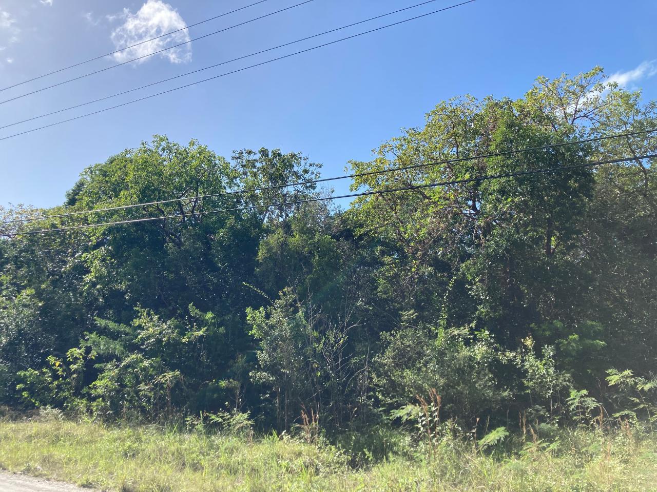 DEEP CREEK WEST — photo 3