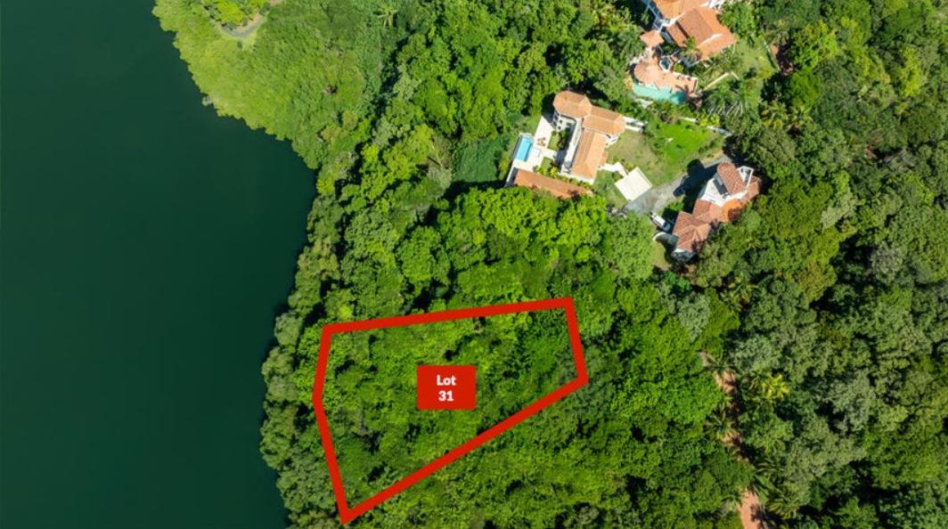 Parrot Tree Plantation 0.53 Acres Lot #31 — photo 1