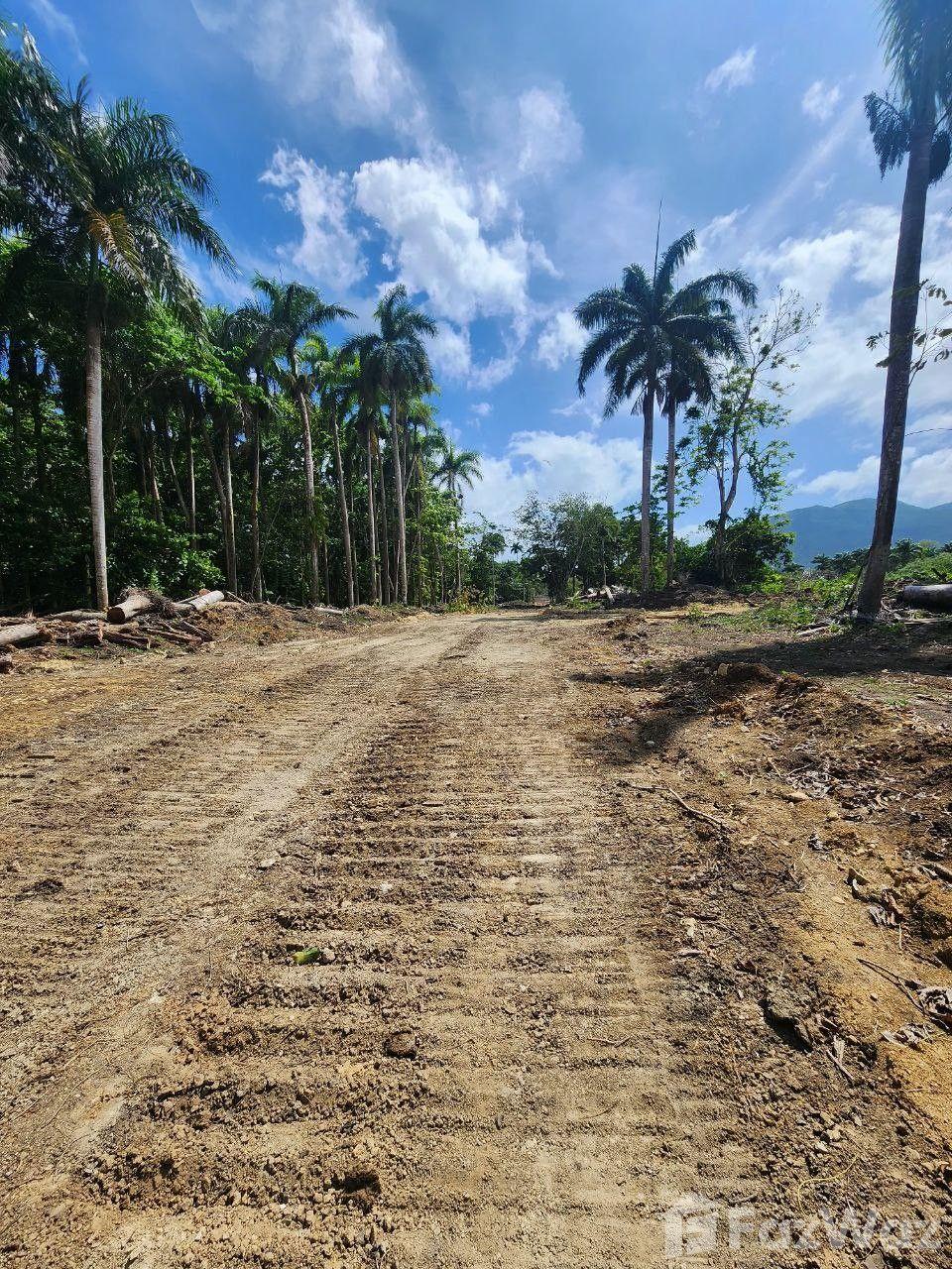 Land for sale in Muñoz, Puerto Plata — photo 5