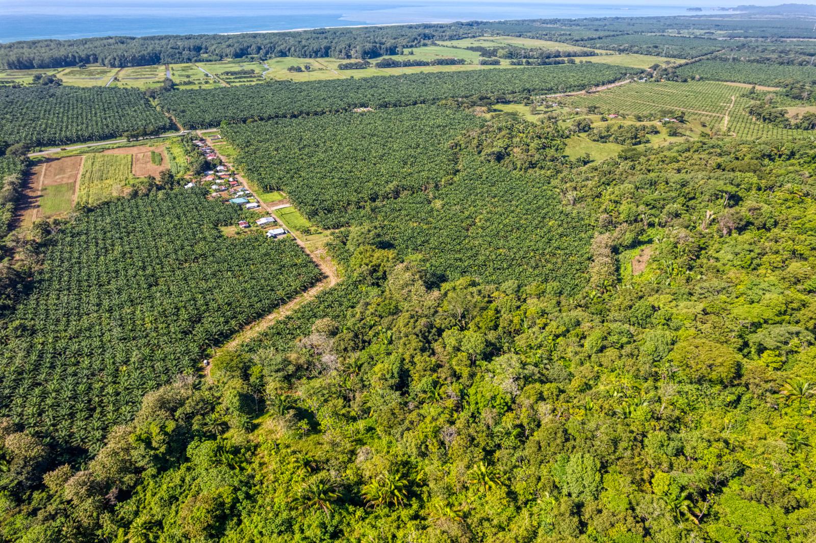 17.2 Acres of Ocean-View Land for Sale — photo 3