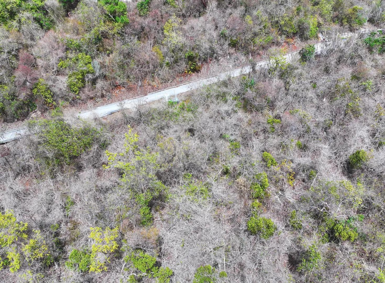 0.55 Acre Lot in Point Rendezvous, St. John, US Virgin Islands — photo 4