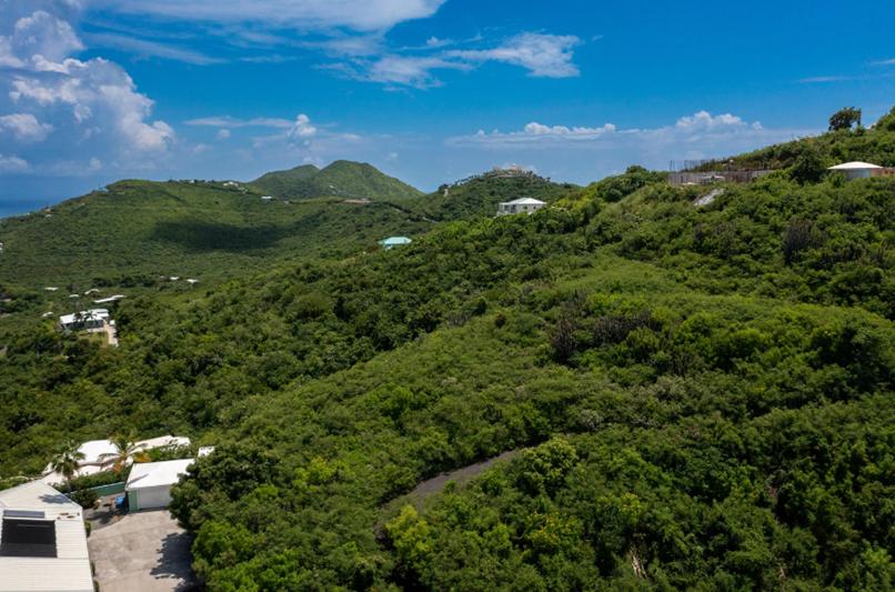 Teagues Bay Oceanview 0.50 Acre Lot — photo 5