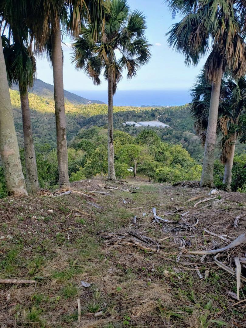Land With Ocean View Have Fresh Water And Beside A River Have — photo 4
