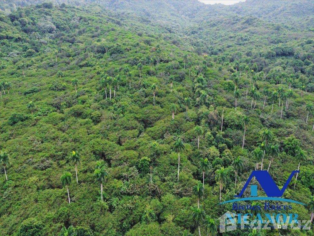 5,200 tareas cattle farm for sale — photo 4