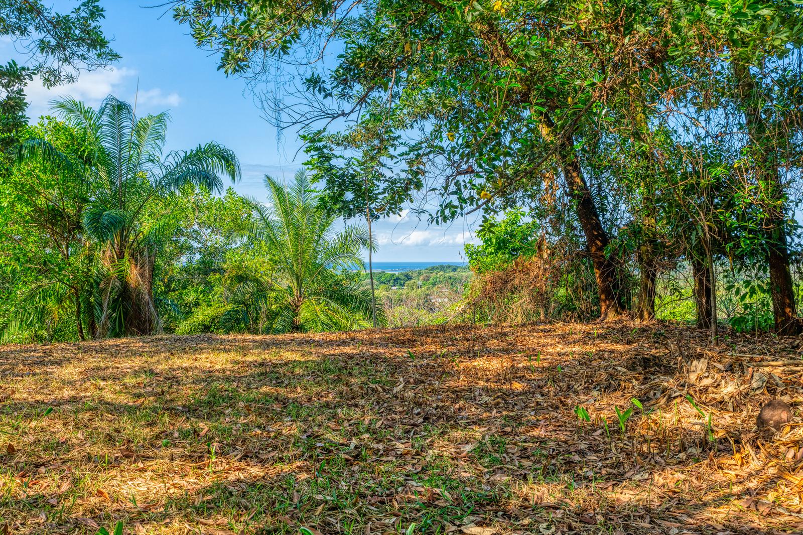 5.6 Acres of Ocean View Farm Land for Sale in Uvita, Costa Rica — photo 1