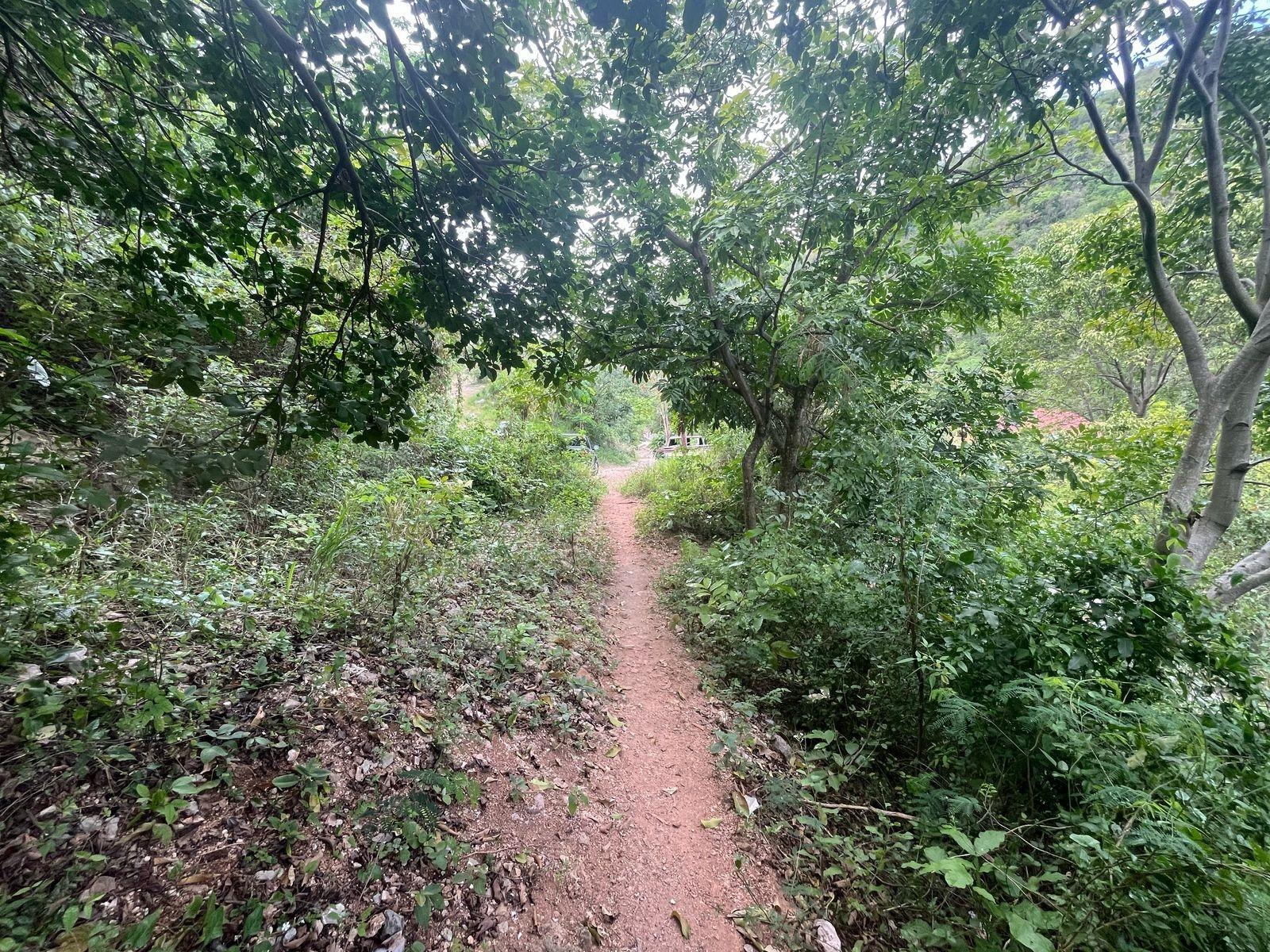 ST MICHAEL TERRACE Kingston & St. Andrew Red Hills — photo 4