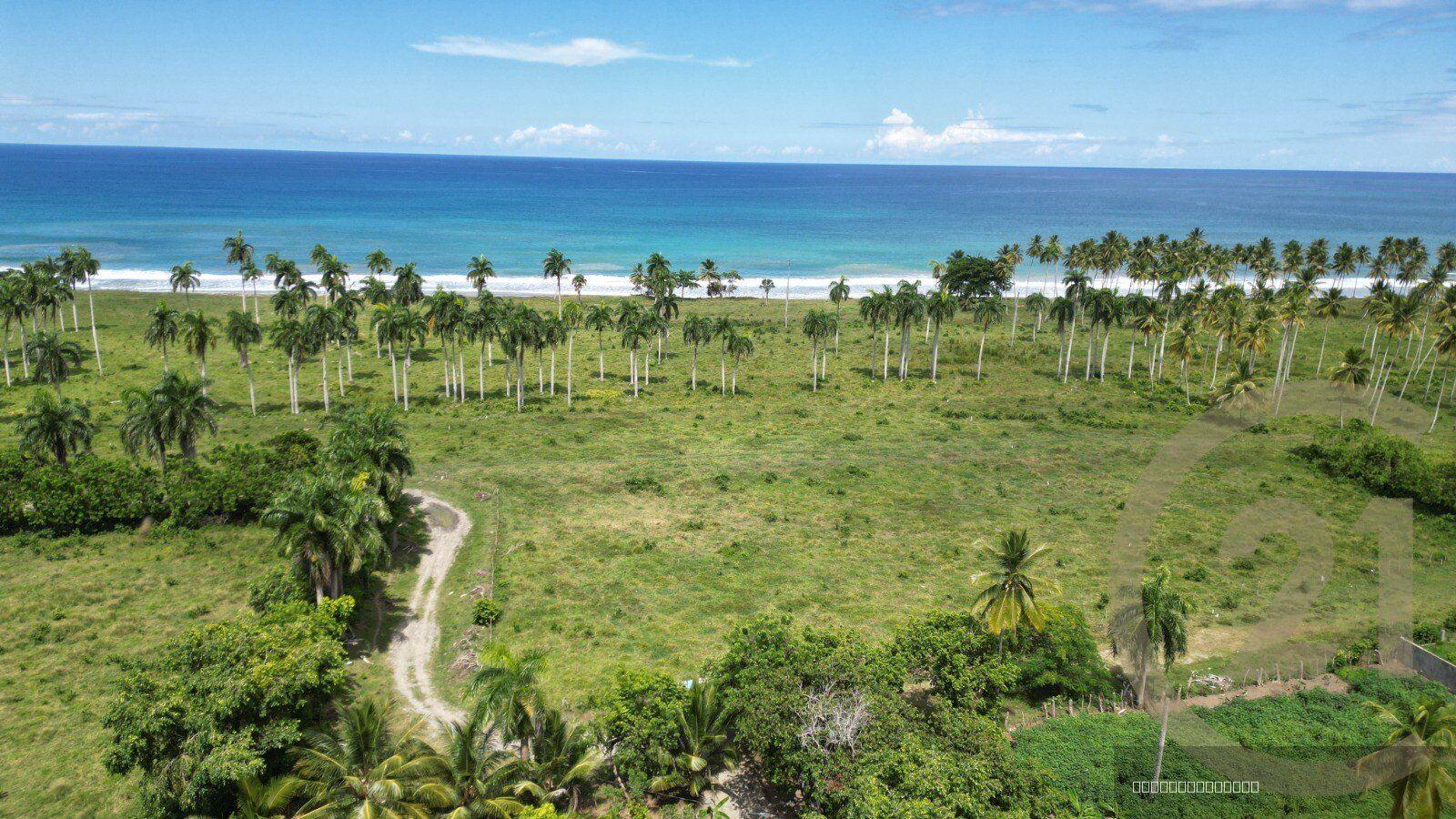 Beachfront Land for Sale, Las Cañas, Gaspar Hernández — photo 2