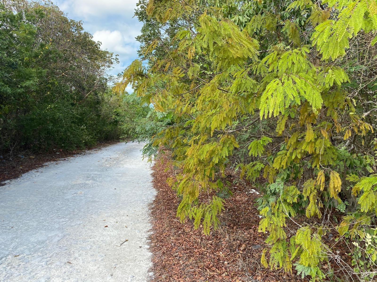 LOT 8287 HARTSWELL — photo 4