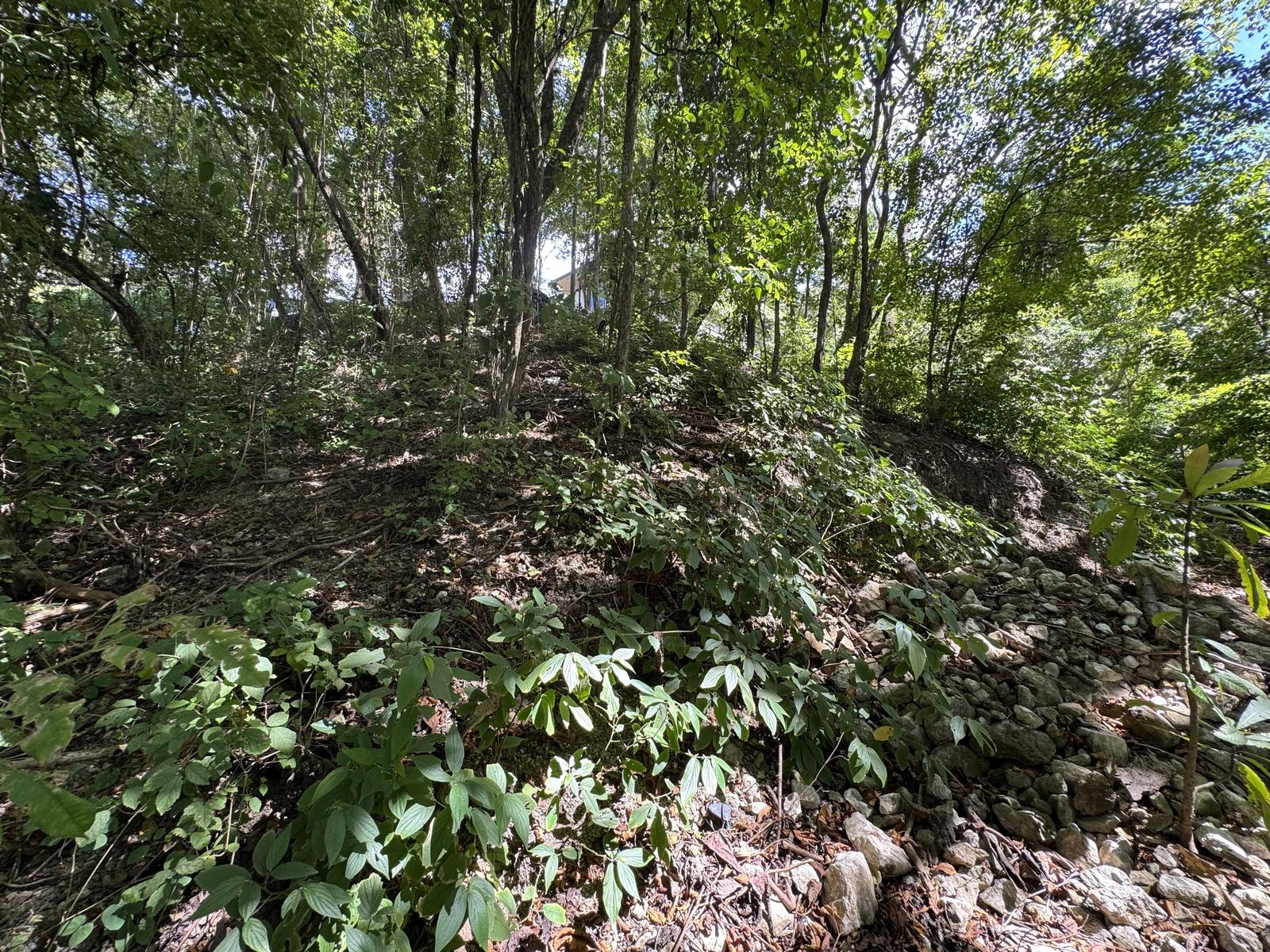 Commercial Ocean-View Land for Sale in Santa Teresa — photo 3