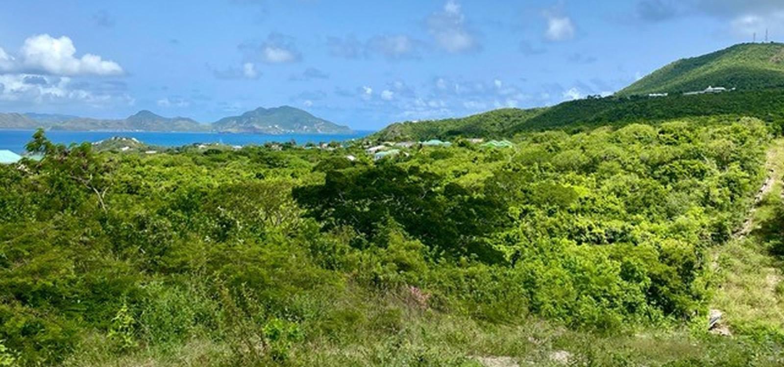 3 Acres of Land for Sale, Clifton Estate, Cades Bay, Nevis — photo 3