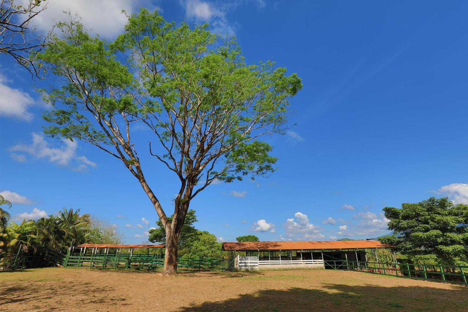 4 Bedroom Hacienda-Style Home for Sale, Naranjito, Quepos, Puntarenas, Costa Rica — photo 3