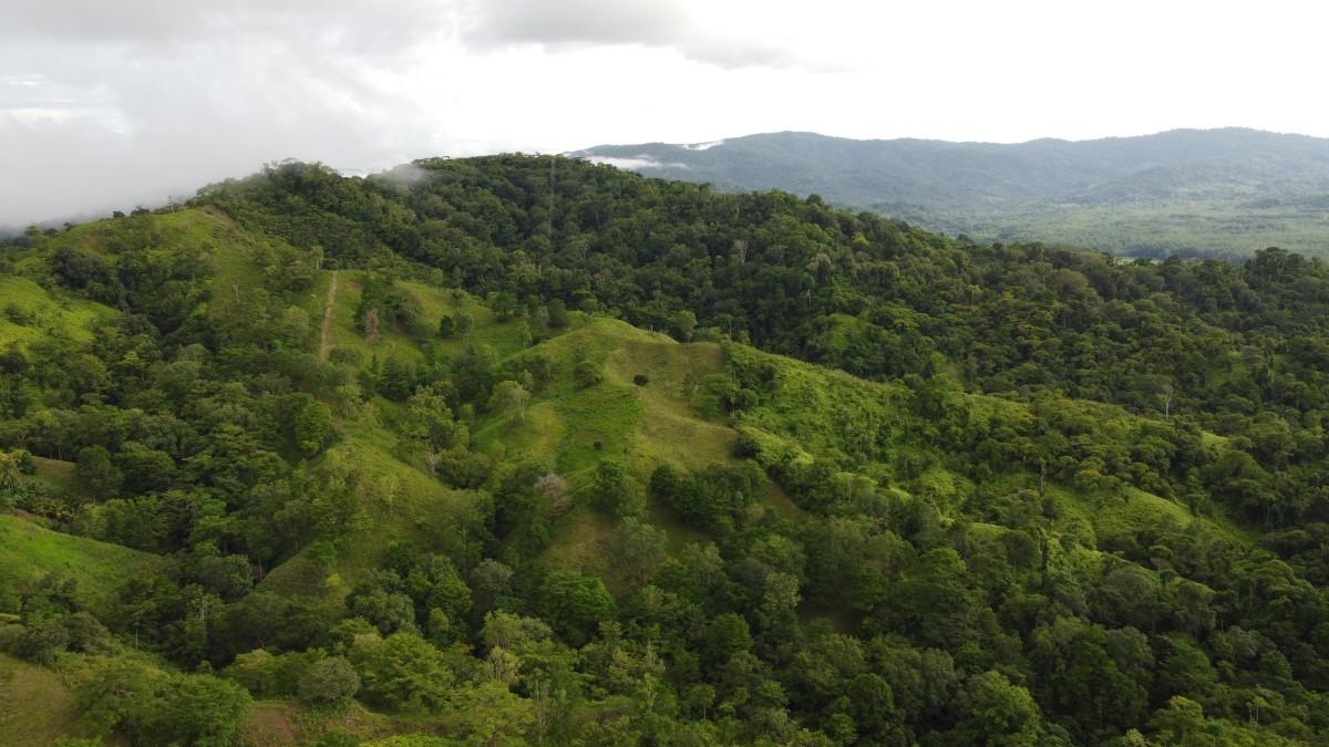 7 Bedroom Mountain Lodge for Sale, San Gerardo de Rivas — photo 4