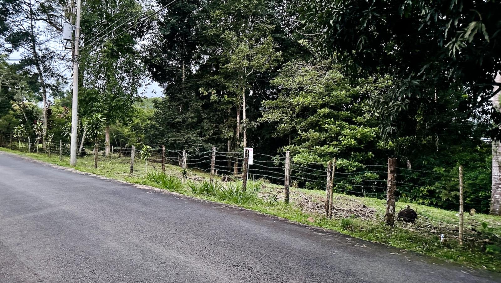 Beautiful lot for sale in San Isidro del General Costa Rica — photo 3