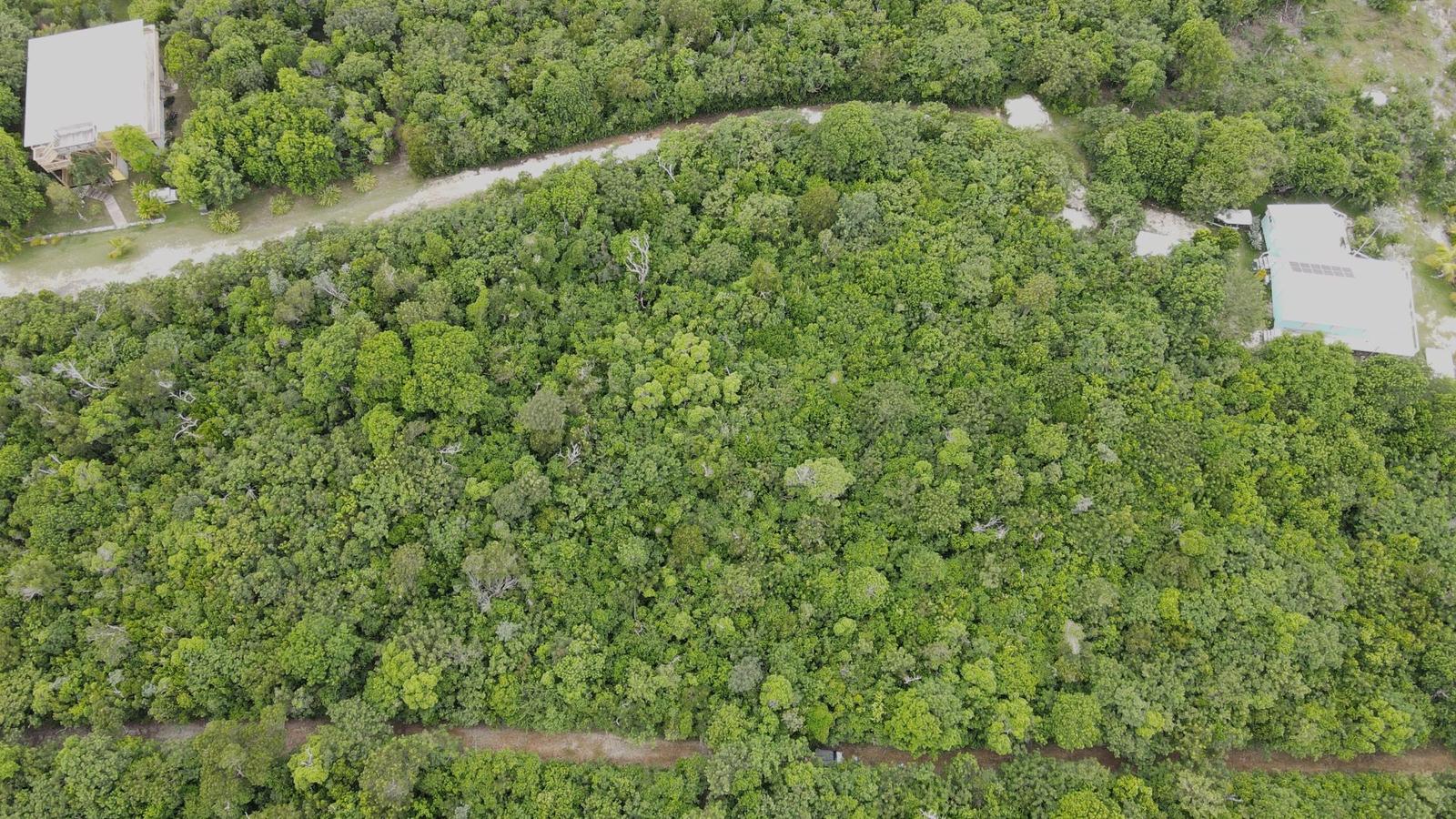 Vacant Land for sale - Lot 15, Lubbers Cay, Bahamas — photo 3