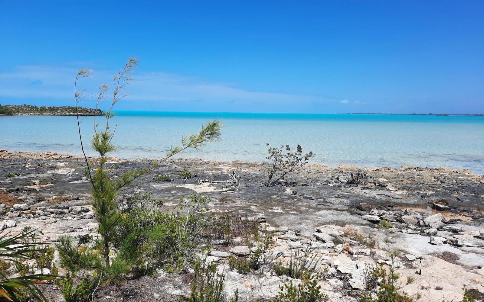 Lot A6, Bunches - Mls 65944, Bunches, BS, Bahamas — photo 4