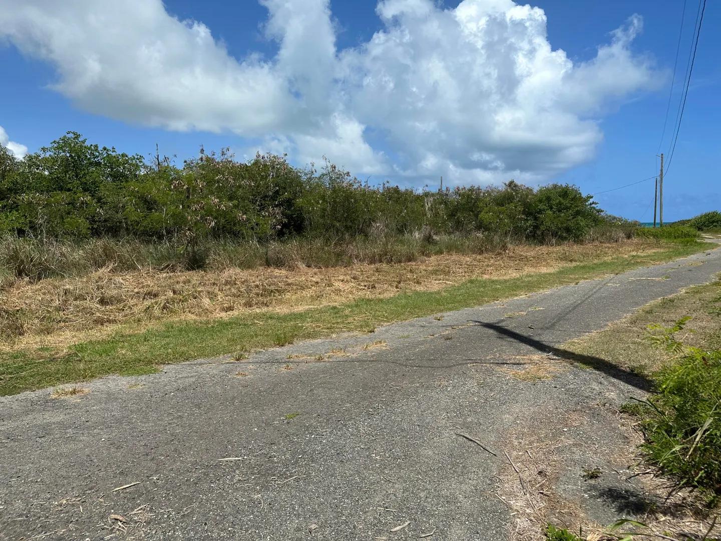 Homesite at 95 Enfield Green Pr, St. Croix — photo 1