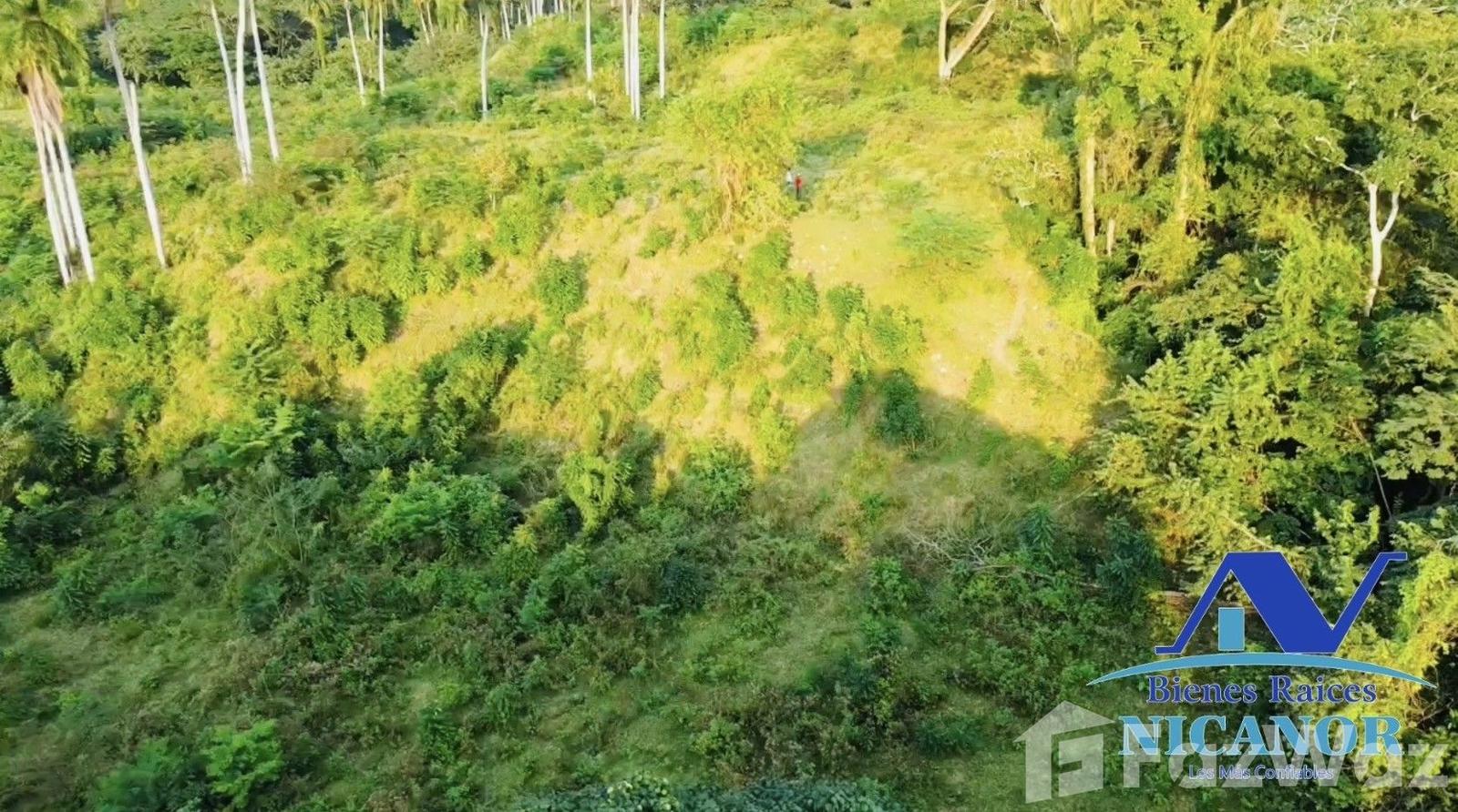 Cattle ranch of 1,150 tareas for sale in Guananico pop. — photo 3
