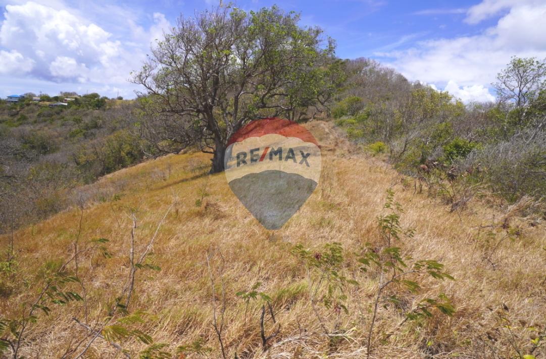 0.32 Acres of Beachfront Land for Sale, La Pompe, Bequia — photo 5