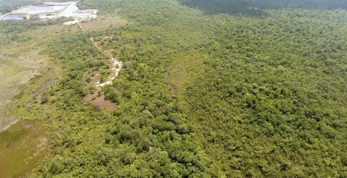 1,456 acre property near Hattieville — photo 1